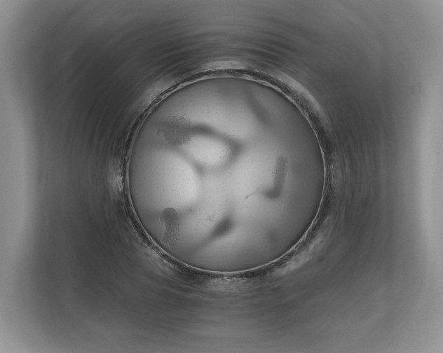 X0000111030929200907021535
