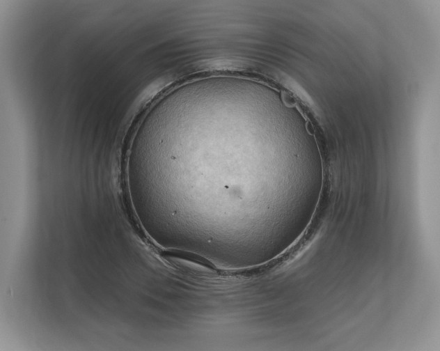 X0000111030930200907021535