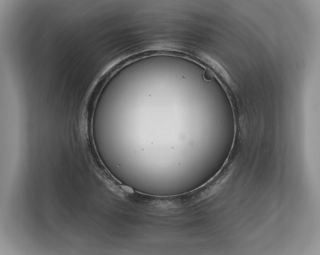 X0000111030931200907021535