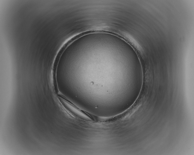 X0000111030932200907021535