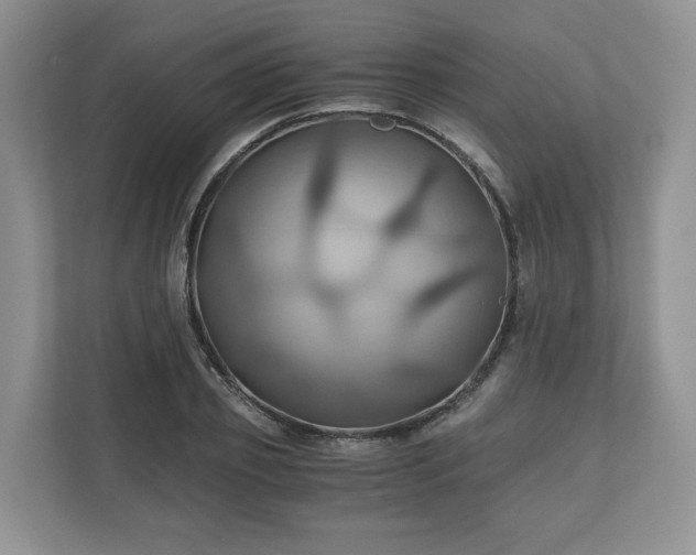 X0000111030933200907021535