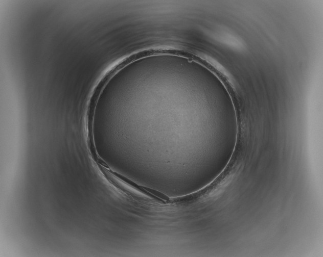 X0000111030935200907021535