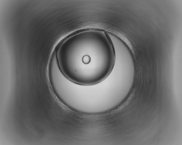 X0000111030936200907021535