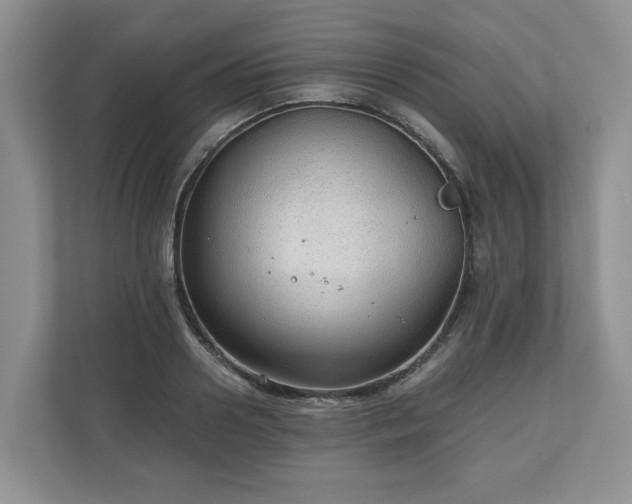 X0000111030938200907021535