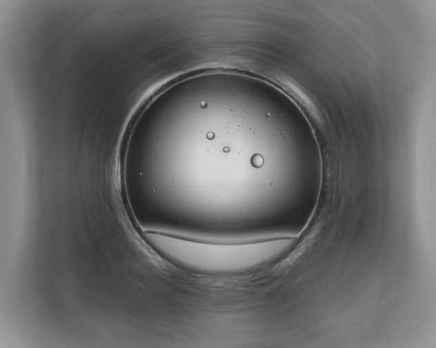 X0000111030940200907021535