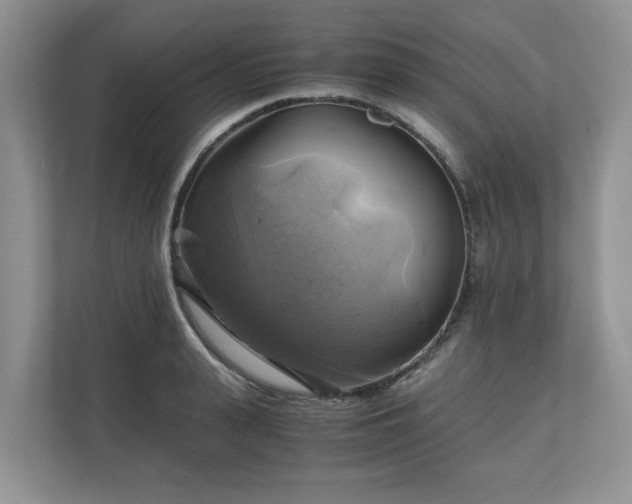X0000111030943200907021535