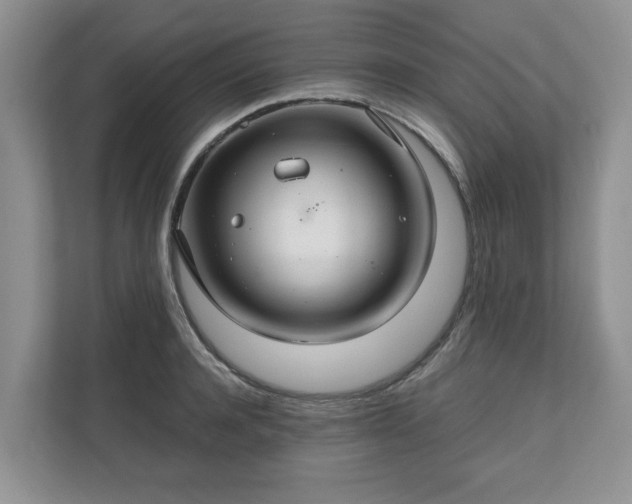 X0000111030944200907021535