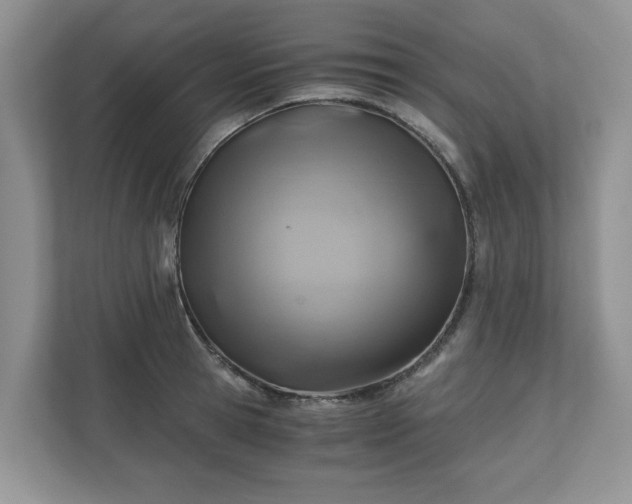X0000111030945200907021535