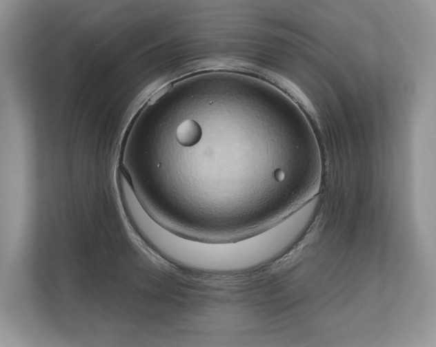 X0000111030946200907021535