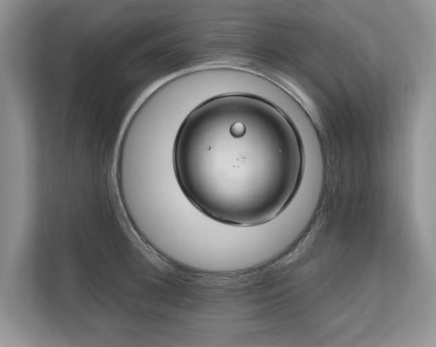 X0000111030948200907021535