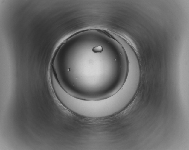 X0000111030952200907021535