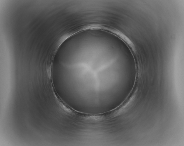X0000111030953200907021535