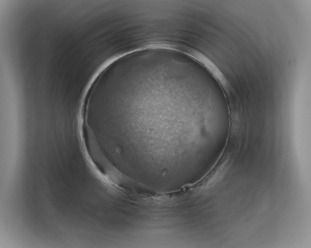 X0000111030955200907021535
