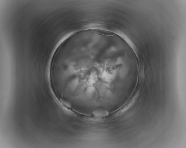 X0000111030957200907021535