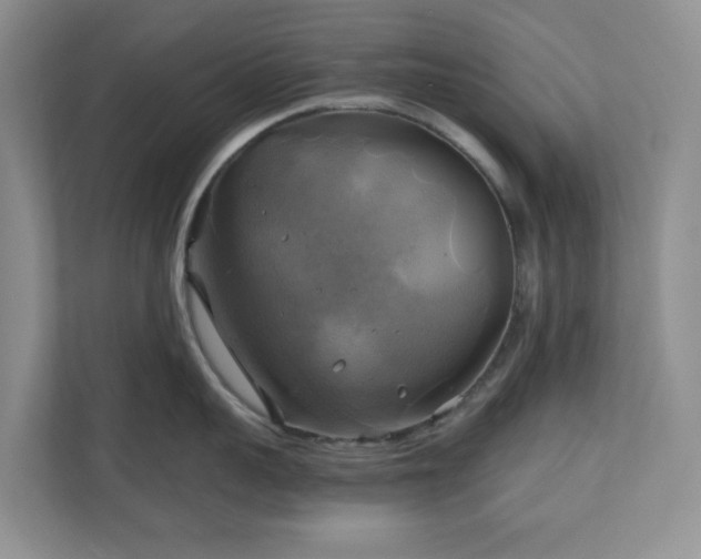 X0000111030959200907021535