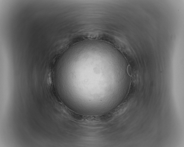 X0000111030962200907021535