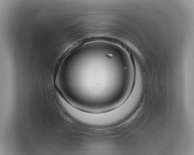 X0000111030969200907021535
