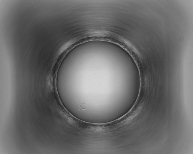 X0000111030970200907021535