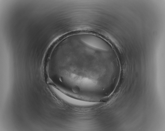 X0000111030975200907021535