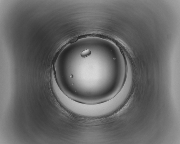 X0000111030977200907021535