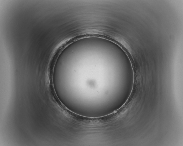 X0000111030979200907021535