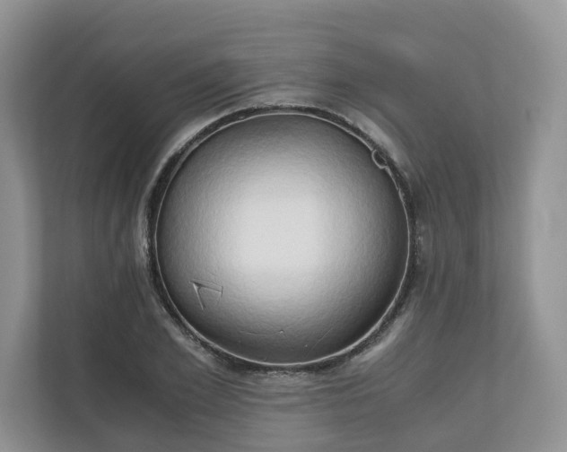 X0000111030981200907021535