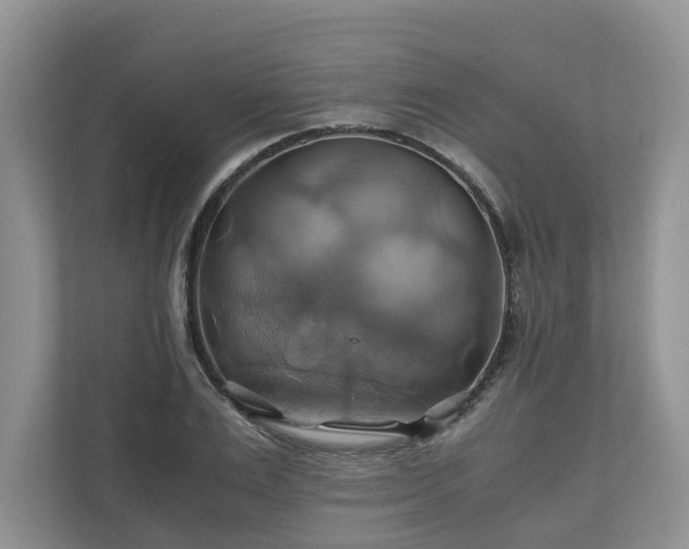 X0000111030983200907021535