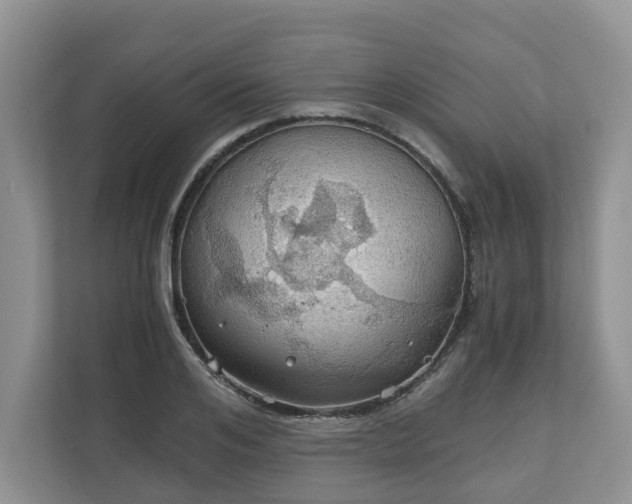 X0000111030984200907021535