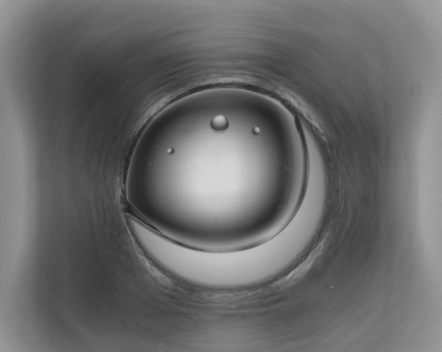 X0000111030985200907021535