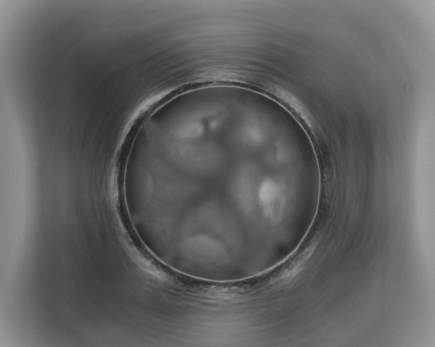 X0000111030987200907021535
