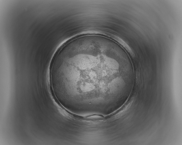 X0000111030988200907021534