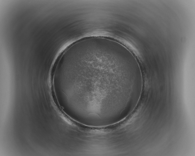 X0000111030990200907021534