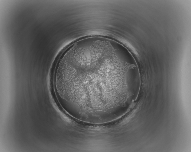 X0000111030991200907021534