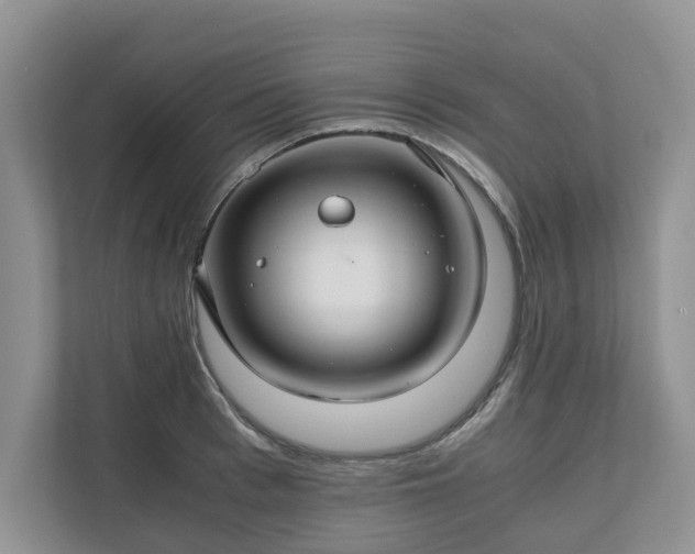 X0000111030993200907021534