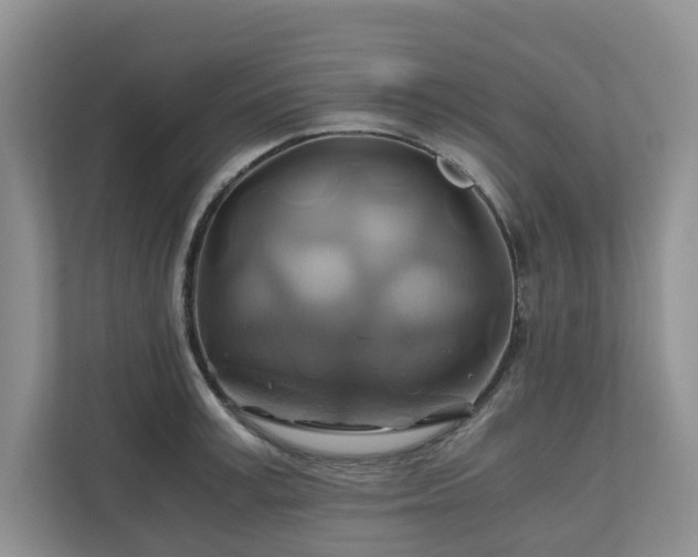 X0000111030995200907021534