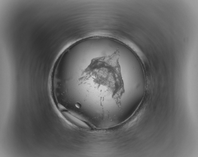X0000111030999200907021534