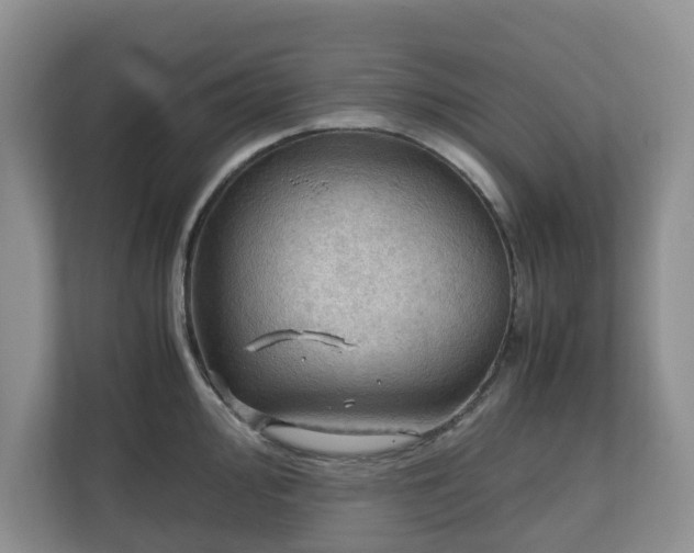 X0000111031000200907021534