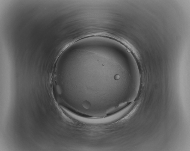 X0000111031001200907021534