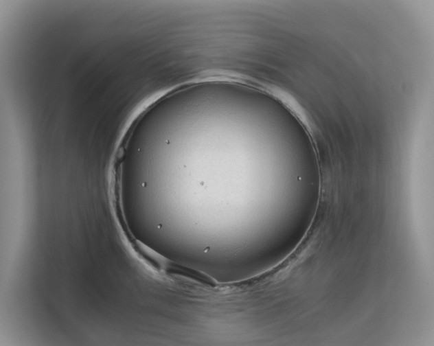 X0000111031003200907021534