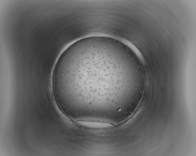 X0000111031004200907021534