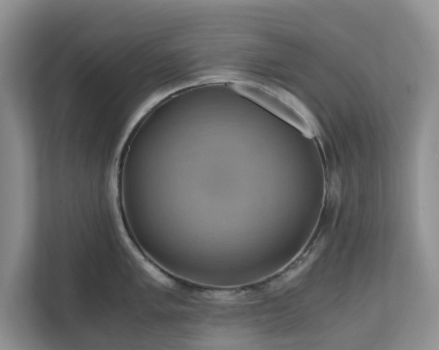 X0000111031005200907021534