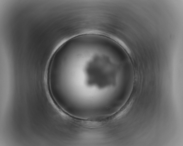 X0000111031007200907021534