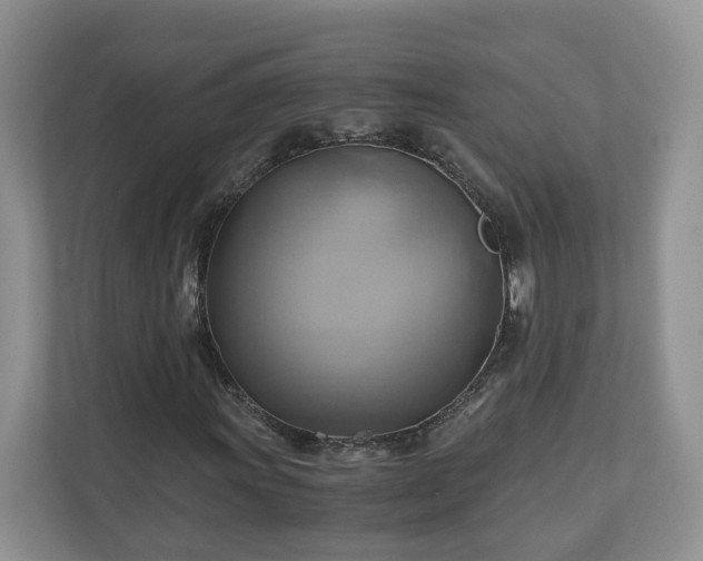 X0000111031011200907021534