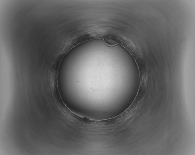 X0000111031012200907021534