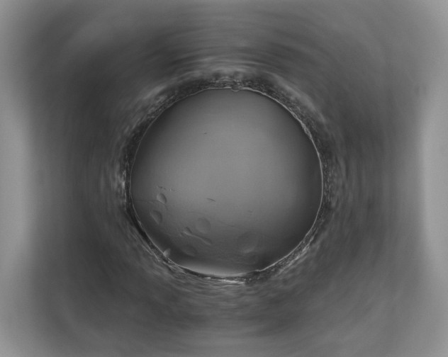 X0000111031013200907021534