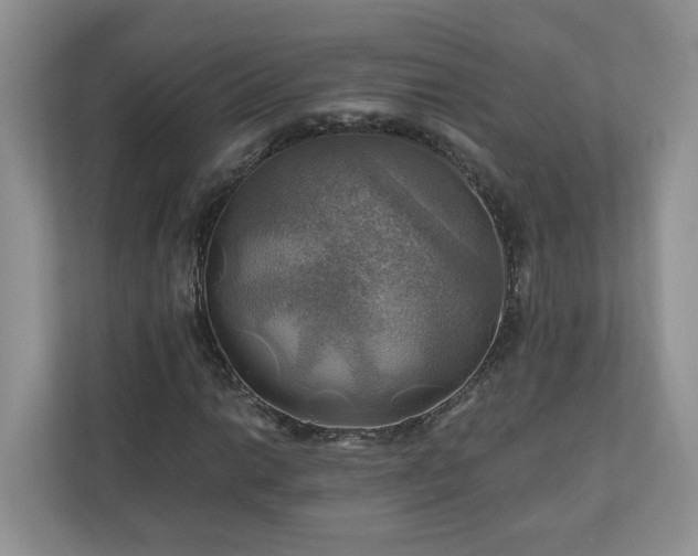 X0000111031014200907021534