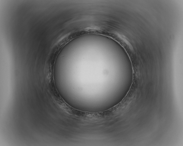 X0000111031015200907021534