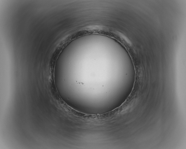 X0000111031016200907021534