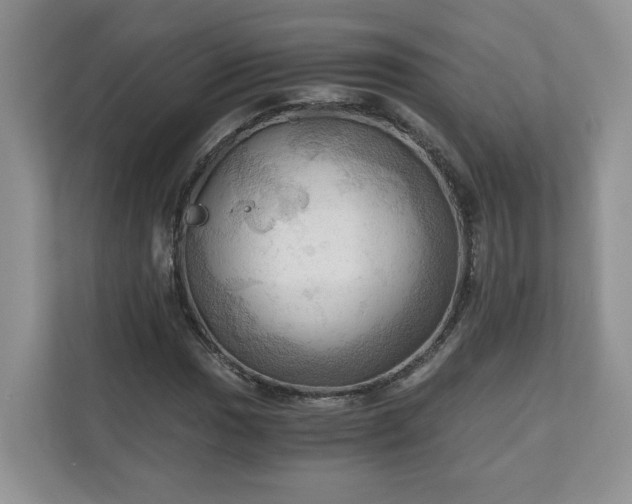 X0000111031017200907021534