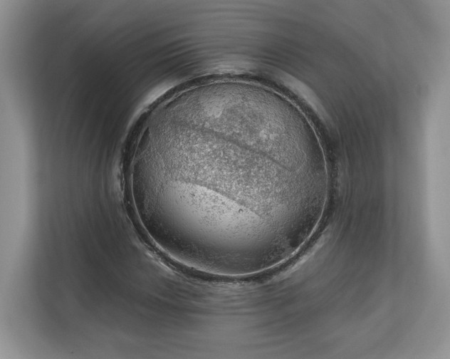 X0000111031018200907021534